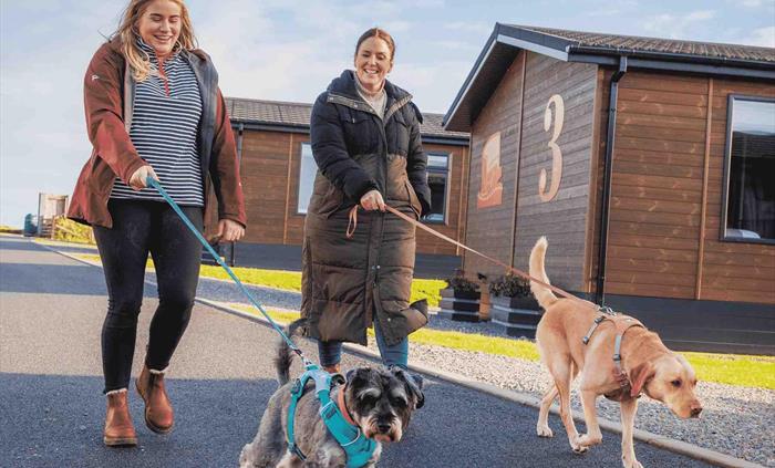 Pet Friendly Holidays